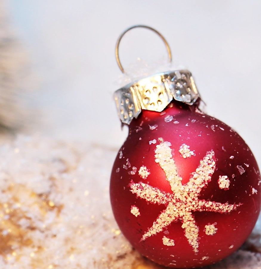 Christmas Event - Dec 6, 2025, Clermont, FL - $110.00