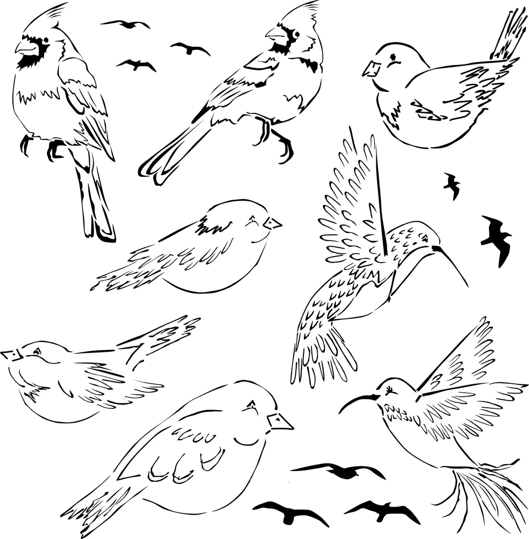 Bird Variety 1 Stencil