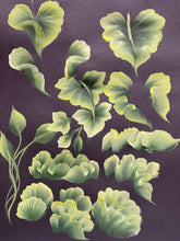 Slow Strokes Lesson 2 of SS4 Leaves and Flowers 2 Downloadable Video Lesson