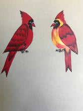 Slow Strokes Lesson 4 of SS3 - Birds Downloadable Video Lesson