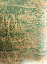 Dew U Painter Course Lesson 2 - Backgrounds Downloadable Video Lesson