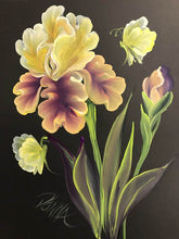 Stroke Study Lesson 6 - Irises Downloadable Video Lesson