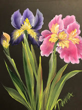 Stroke Study Lesson 6 - Irises Downloadable Video Lesson