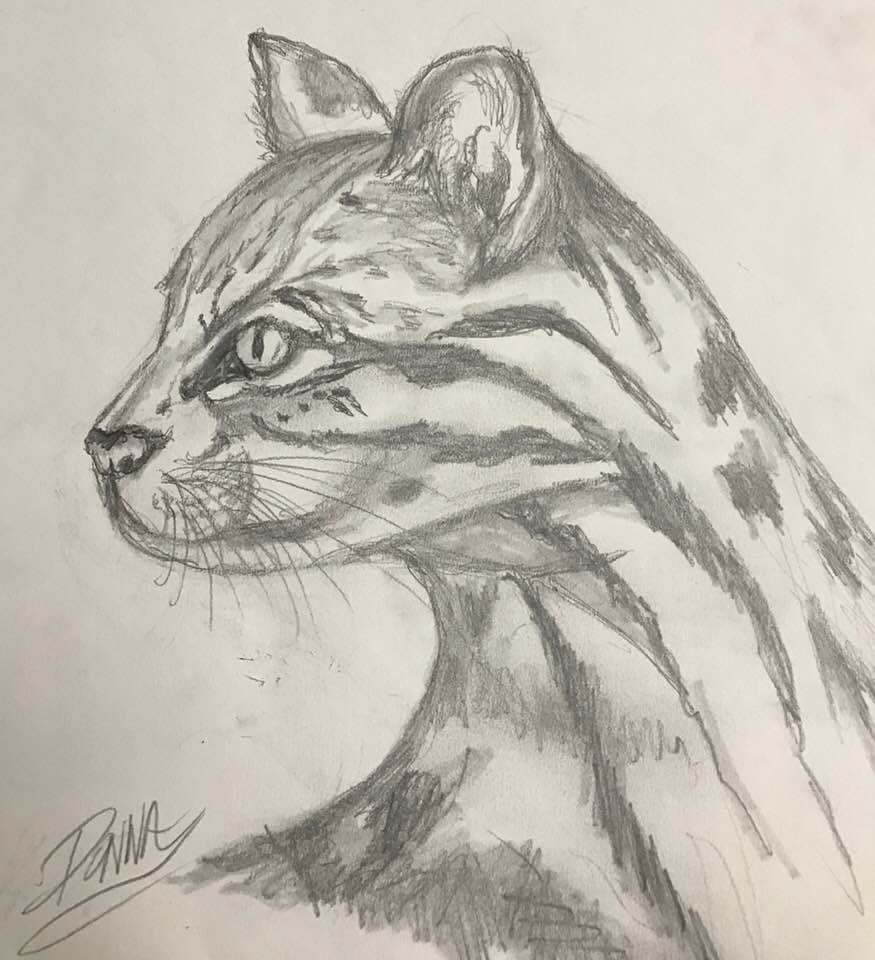 One Stroke - Dewberry U