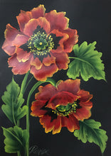 Stroke Study Lesson 9 - Poppies  Downloadable Video Lesson