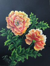 Stroke Study Lesson 9 - Poppies  Downloadable Video Lesson