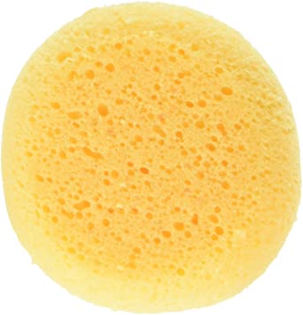 Round Sponge