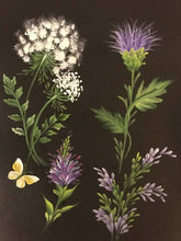 Stroke Study Lesson 10 - Wildflowers  Downloadable Video Lesson