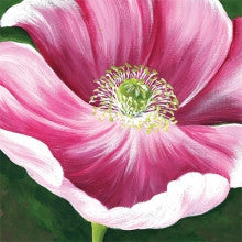 Poppy Project Packet POPPYPP