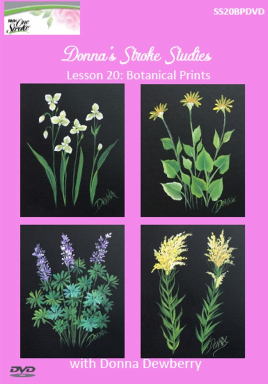 Stroke Study Lesson 20: Botanicals DVD – Dewberry U