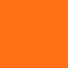 2904 Vivid Orange MS 2 oz. – Dewberry U