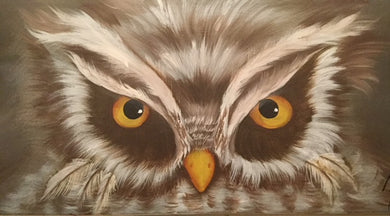 Owl Faces Project Packet