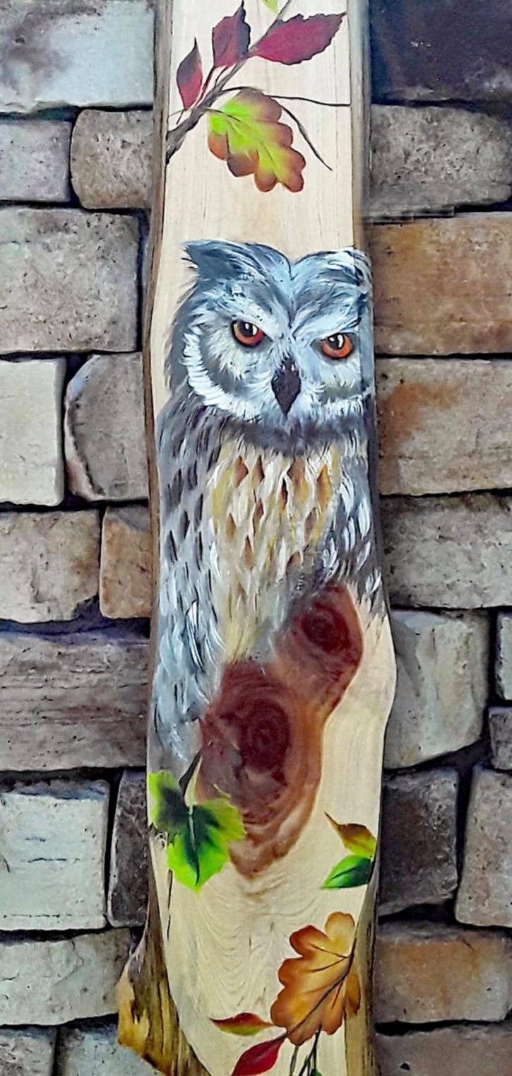 Owl on Plank Downloadable Video Lesson