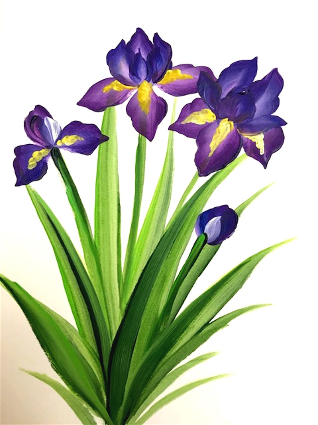 Irises Downloadable Video Lesson