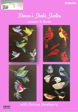 Stroke Study Lesson 3: Birds DVD