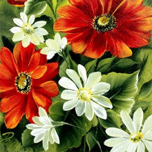 One Stroke - Dewberry U