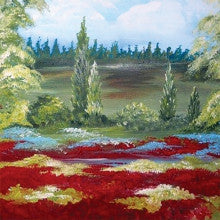 Landscape Project Packet LANDSCAPE - Dewberry U