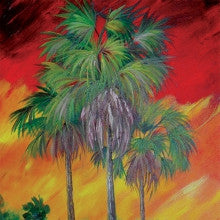 Tropical Palms Project Packet PP-Tropical Palms